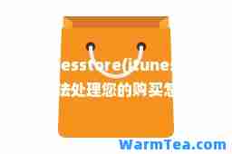 itunesstore(itunesstore无法处理您的购买怎么解决)