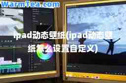 ipad动态壁纸(ipad动态壁纸怎么设置自定义)