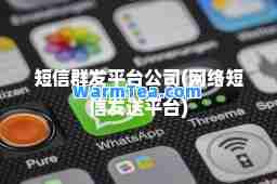 平台公司(网络短信发送平台)