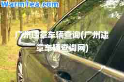 广州违章车辆查询(广州违章车辆查询网)