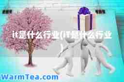 it是什么行业(iT是什么行业)