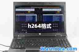 h264格式