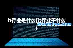 it行业是什么(it行业干什么)
