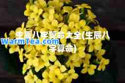 生辰八字算大全(生辰八字算)