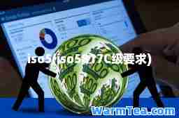 iso5(iso5817C级要求)