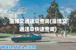 淄博交通违章查询(淄博交通违章快速查询)