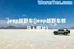 jeep越野车(jeep越野车牧马人图片)