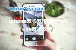 iphone双卡双待(哪些iphone双卡双待)