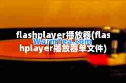 flashplayer播放器(flashplayer播放器单文件)