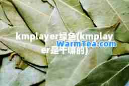 kmplayer绿色(kmplayer是干嘛的)