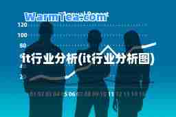 it行业分析(it行业分析图)