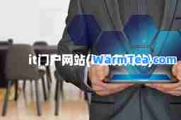 it门户网站(it服务网站)