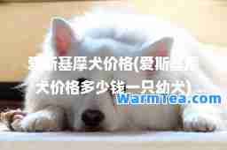 爱斯基摩犬价格(爱斯基摩犬价格多少钱一只幼犬)