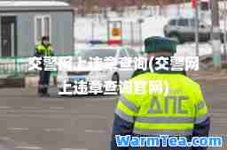 交警网上违章查询(交警网上违章查询官网)