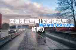 交通违章查询(交通违章查询网)