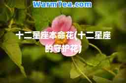 十二星座本花(十二星座的守护花)
