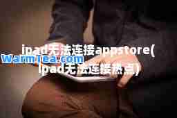 ipad无法连接appstore(Ipad无法连接热点)