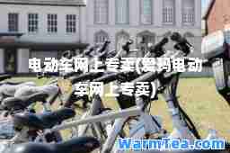 电动车网上专卖(爱玛电动车网上专卖)