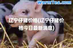 辽宁仔猪价格(辽宁仔猪价格今日消息)