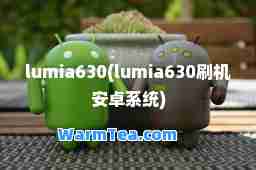lumia630(lumia630刷机安卓系统)