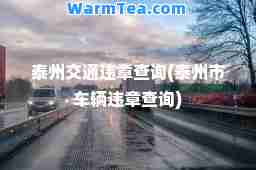 泰州交通违章查询(泰州市车辆违章查询)