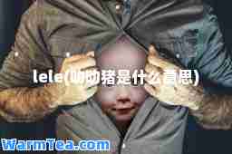 lele(叻叻猪是什么意思)