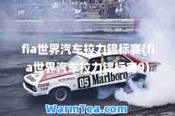 fia世界汽车拉力锦标赛(fia世界汽车拉力锦标赛9)