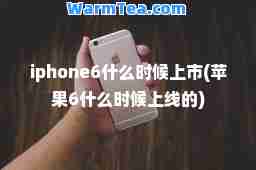 iphone6什么时候上市(苹果6什么时候上线的)