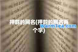 押韵的网名(押韵的网名两个字)