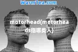 motorhead(motorheads指哪类人)