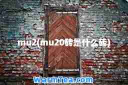 mu2(mu20砖是什么砖)