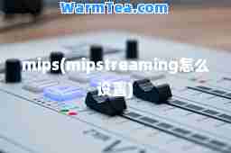 mips(mipstreaming怎么设置)