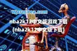 nba2k12中文版游戏下载(nba2k12中文版下载)