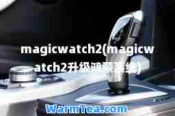 magicwatch2(magicwatch2升级鸿蒙系统)