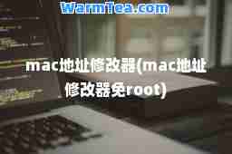 mac地址修改器(mac地址修改器免root)