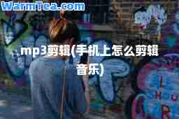 mp3剪辑(手机上怎么剪辑音乐)