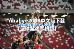 nbalive2008中文版下载(篮球游戏手机版)