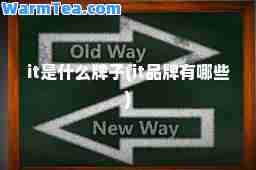 it是什么牌子(it品牌有哪些)