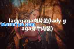 ladygaga肉片装(lady gaga穿牛肉装)