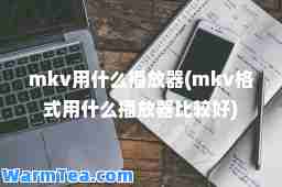 mkv用什么播放器(mkv格式用什么播放器比较好)
