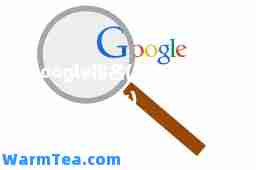 google排名(google rank)