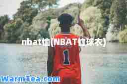 nbat恤(NBAT恤球衣)