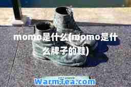 momo是什么(momo是什么牌子的鞋)
