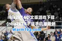 nba2k14中文版游戏下载(nba2k14下载手机版版)