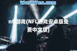 nfl游戏(NFL游戏安卓版免费中文版)