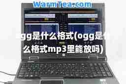 ogg是什么格式(ogg是什么格式mp3里能放吗)