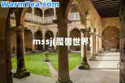 mssj(魔兽世界)