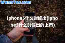 iphone5什么时候出(iphone5什么时候出的上市)
