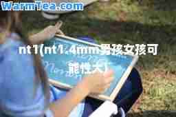 nt1(nt1.4mm男孩女孩可能性大)