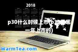 p30什么时候上市(p30是哪一年上市的)